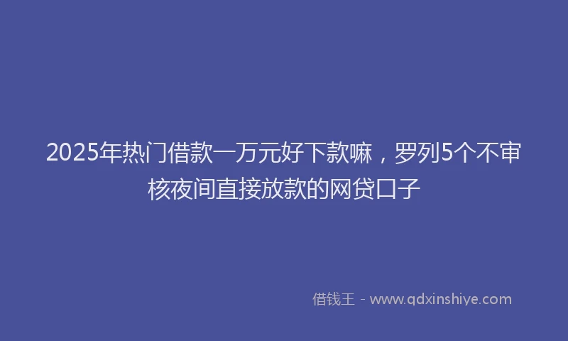 2025年热门借款一万元好下款嘛，罗列5个不审核夜间直接放款的网贷口子