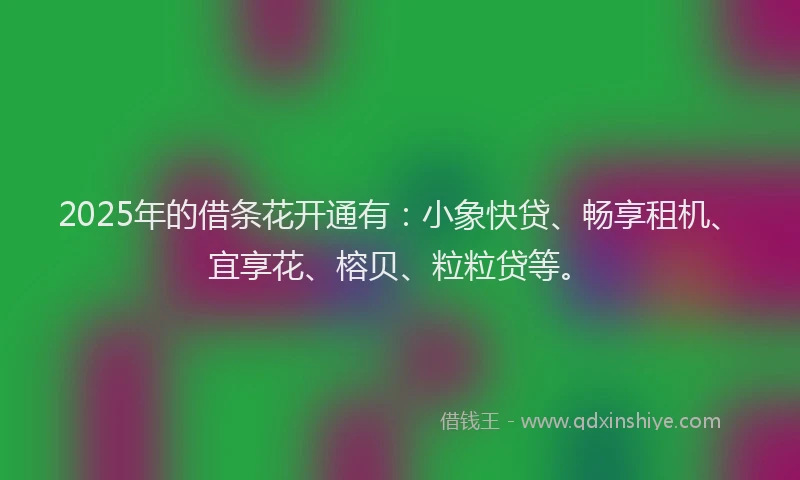 2025年的借条花开通有：小象快贷、畅享租机、宜享花、榕贝、粒粒贷等。
