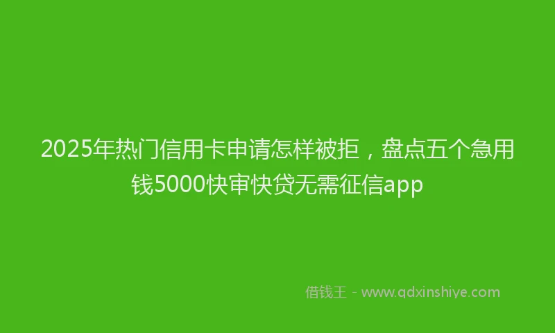 2025年热门信用卡申请怎样被拒，盘点五个急用钱5000快审快贷无需征信app