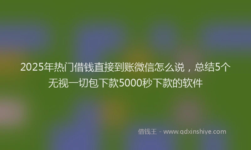 2025年热门借钱直接到账微信怎么说，总结5个无视一切包下款5000秒下款的软件