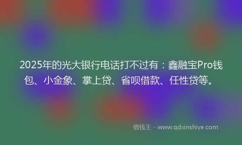 2025年的光大银行电话打不过有：鑫融宝Pro钱包、小金象、掌上贷、省呗借款、任性贷等。