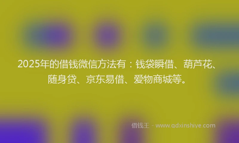 2025年的借钱微信方法有：钱袋瞬借、葫芦花、随身贷、京东易借、爱物商城等。