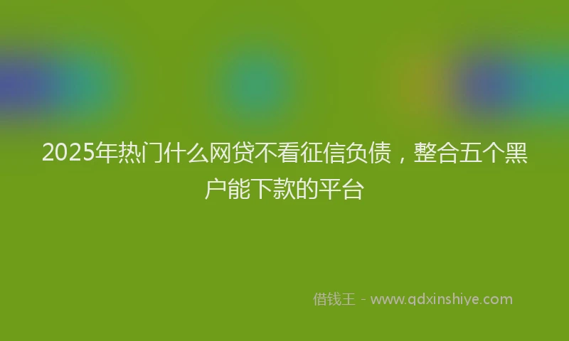 2025年热门什么网贷不看征信负债，整合五个黑户能下款的平台