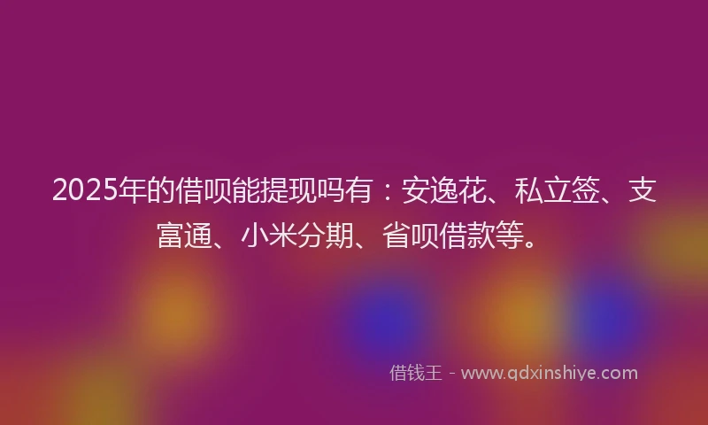 2025年的借呗能提现吗有：安逸花、私立签、支富通、小米分期、省呗借款等。