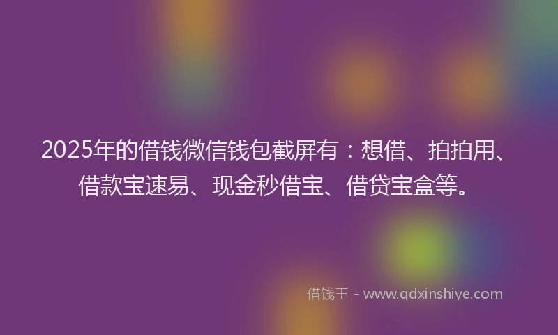 2025年的借钱微信钱包截屏有：想借、拍拍用、借款宝速易、现金秒借宝、借贷宝盒等。