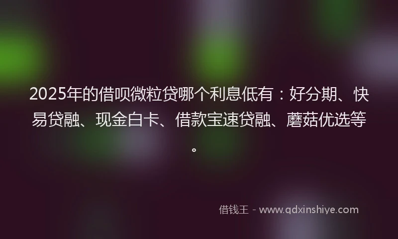 2025年的借呗微粒贷哪个利息低有：好分期、快易贷融、现金白卡、借款宝速贷融、蘑菇优选等。