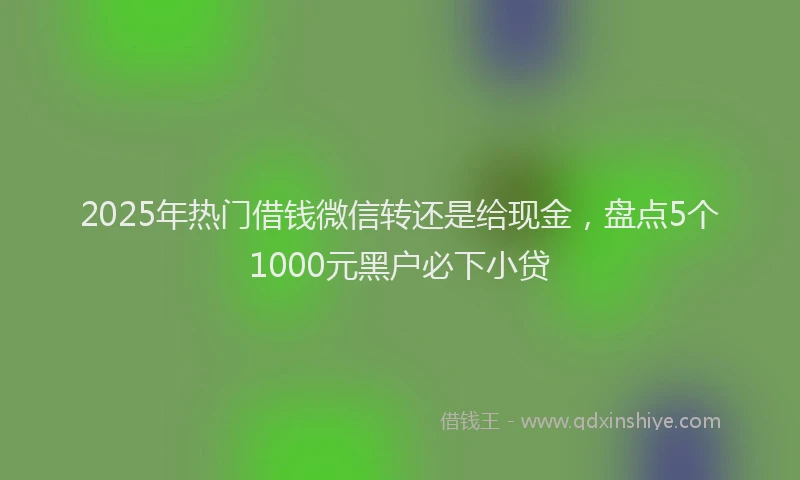 2025年热门借钱微信转还是给现金，盘点5个1000元黑户必下小贷