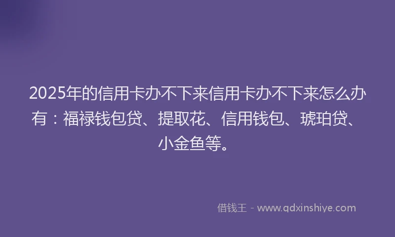 2025年的信用卡办不下来信用卡办不下来怎么办有：福禄钱包贷、提取花、信用钱包、琥珀贷、小金鱼等。
