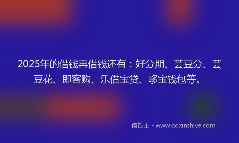 2025年的借钱再借钱还有：好分期、芸豆分、芸豆花、即客购、乐借宝贷、哆宝钱包等。