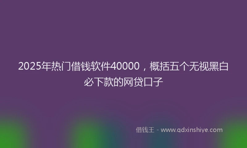 2025年热门借钱软件40000，概括五个无视黑白必下款的网贷口子