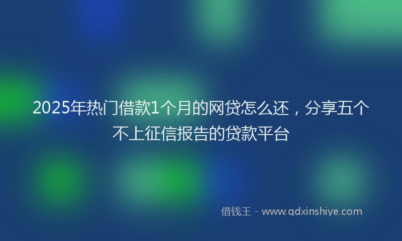 2025年热门借款1个月的网贷怎么还，分享五个不上征信报告的贷款平台
