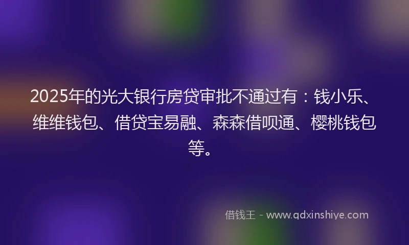 2025年的光大银行房贷审批不通过有：钱小乐、维维钱包、借贷宝易融、森森借呗通、樱桃钱包等。