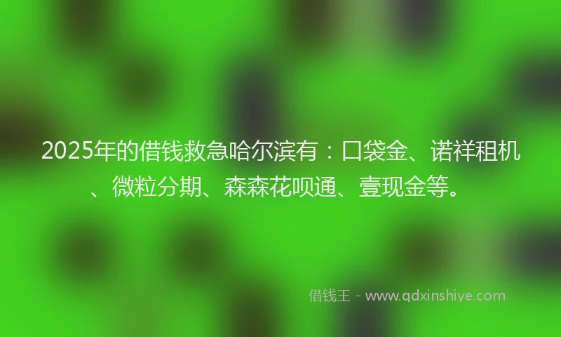 2025年的借钱救急哈尔滨有：口袋金、诺祥租机、微粒分期、森森花呗通、壹现金等。