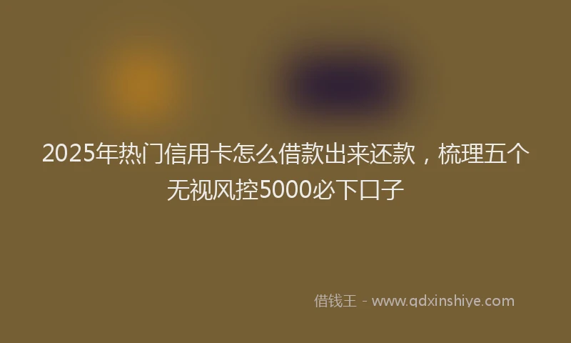 2025年热门信用卡怎么借款出来还款，梳理五个无视风控5000必下口子