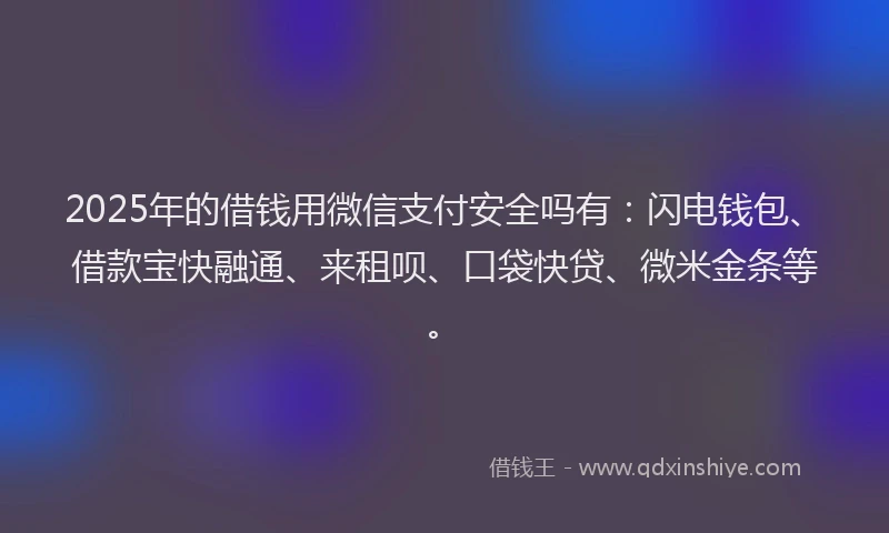 2025年的借钱用微信支付安全吗有：闪电钱包、借款宝快融通、来租呗、口袋快贷、微米金条等。