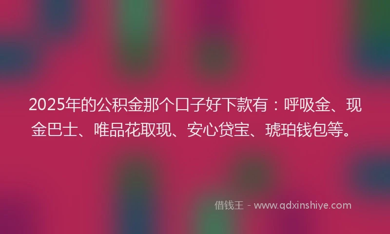 2025年的公积金那个口子好下款有：呼吸金、现金巴士、唯品花取现、安心贷宝、琥珀钱包等。
