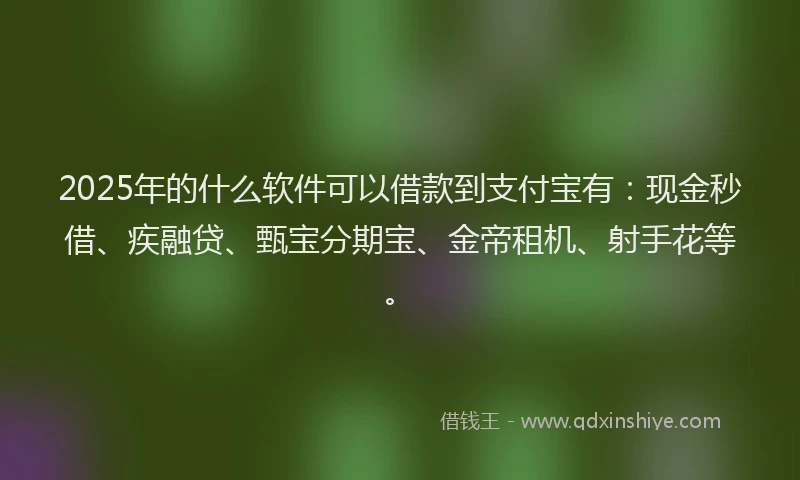 2025年的什么软件可以借款到支付宝有：现金秒借、疾融贷、甄宝分期宝、金帝租机、射手花等。