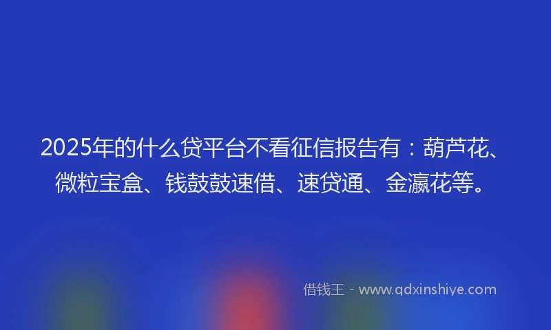 2025年的什么贷平台不看征信报告有：葫芦花、微粒宝盒、钱鼓鼓速借、速贷通、金瀛花等。