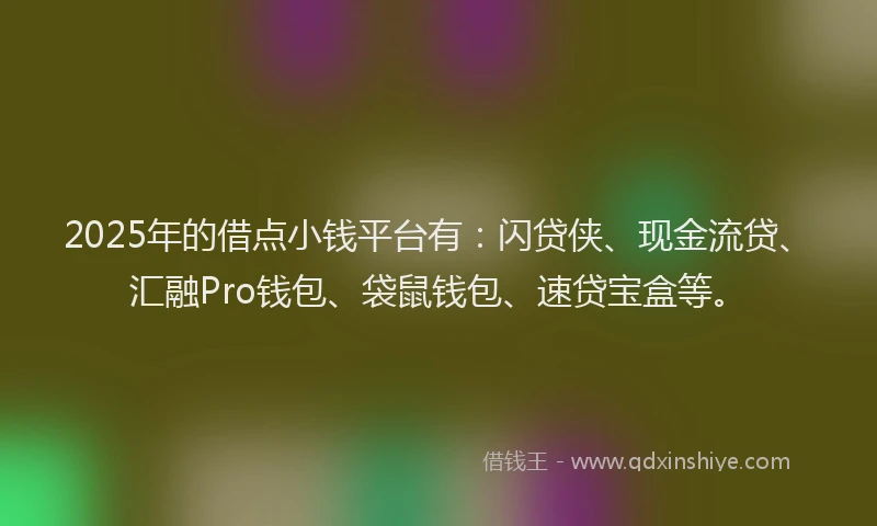 2025年的借点小钱平台有：闪贷侠、现金流贷、汇融Pro钱包、袋鼠钱包、速贷宝盒等。