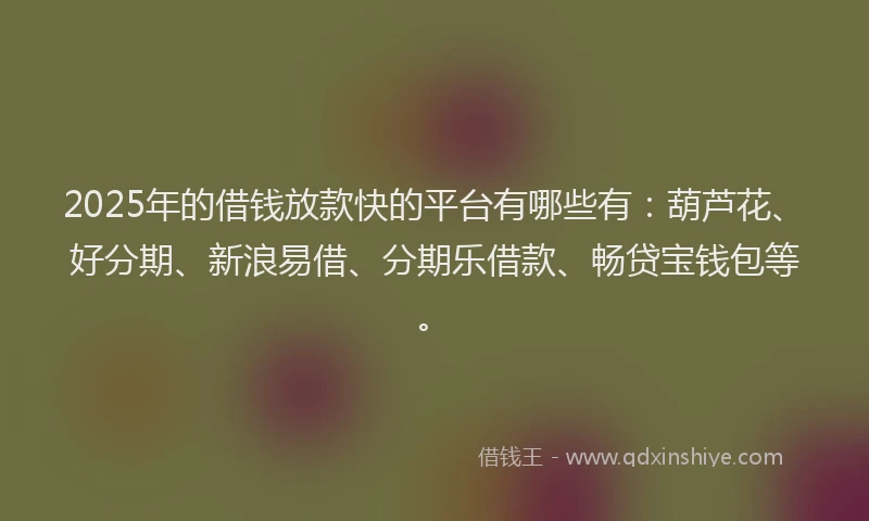 2025年的借钱放款快的平台有哪些有：葫芦花、好分期、新浪易借、分期乐借款、畅贷宝钱包等。