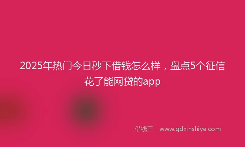 2025年热门今日秒下借钱怎么样，盘点5个征信花了能网贷的app