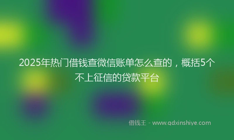 2025年热门借钱查微信账单怎么查的，概括5个不上征信的贷款平台