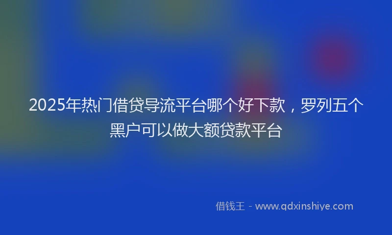 2025年热门借贷导流平台哪个好下款，罗列五个黑户可以做大额贷款平台