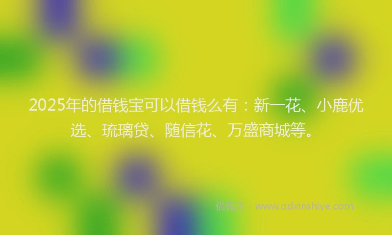 2025年的借钱宝可以借钱么有：新一花、小鹿优选、琉璃贷、随信花、万盛商城等。