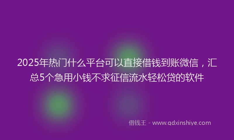 2025年热门什么平台可以直接借钱到账微信，汇总5个急用小钱不求征信流水轻松贷的软件