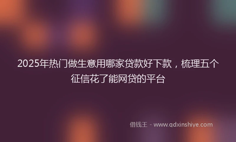 2025年热门做生意用哪家贷款好下款，梳理五个征信花了能网贷的平台