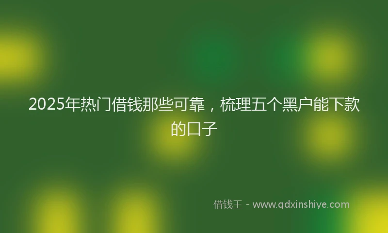 2025年热门借钱那些可靠，梳理五个黑户能下款的口子