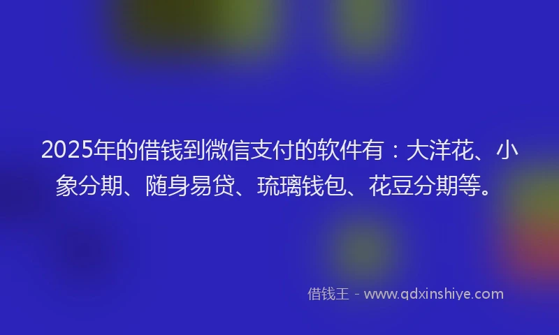 2025年的借钱到微信支付的软件有：大洋花、小象分期、随身易贷、琉璃钱包、花豆分期等。