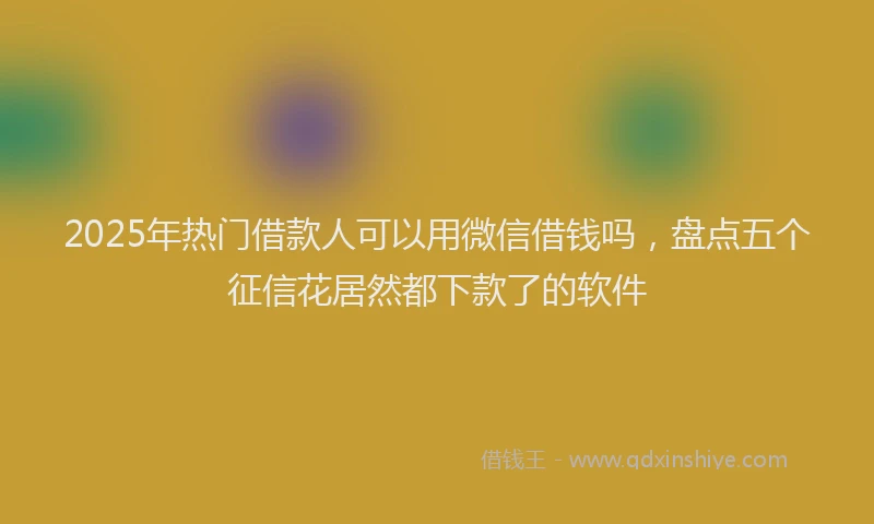 2025年热门借款人可以用微信借钱吗，盘点五个征信花居然都下款了的软件