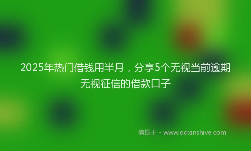 2025年热门借钱用半月，分享5个无视当前逾期无视征信的借款口子