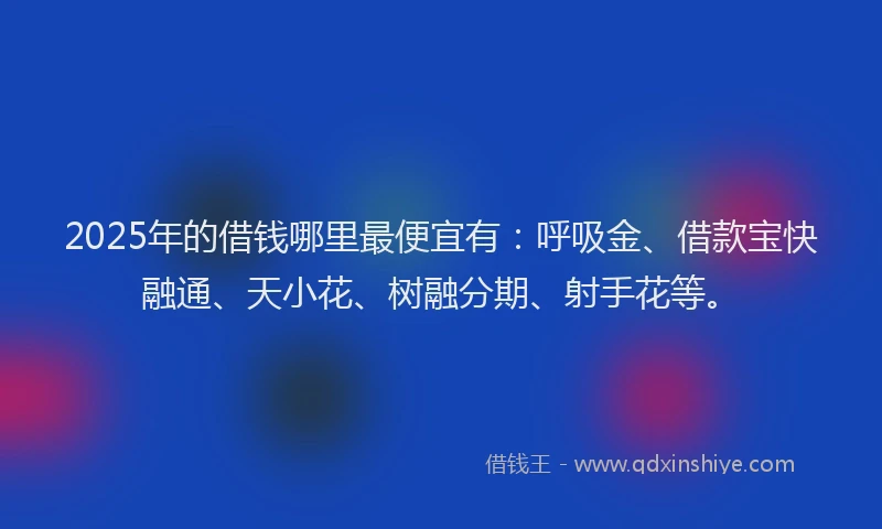 2025年的借钱哪里最便宜有：呼吸金、借款宝快融通、天小花、树融分期、射手花等。