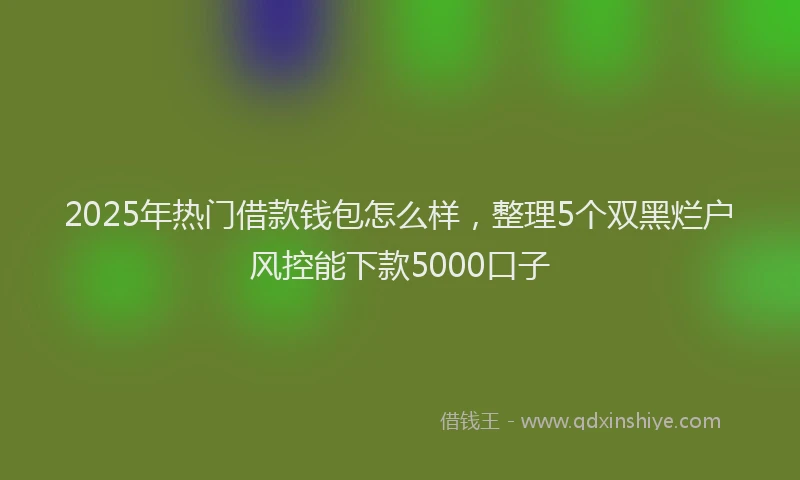 2025年热门借款钱包怎么样，整理5个双黑烂户风控能下款5000口子