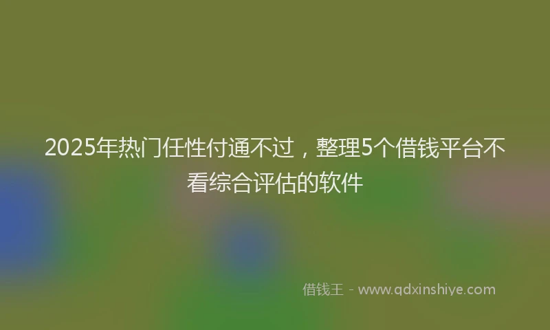 2025年热门任性付通不过，整理5个借钱平台不看综合评估的软件