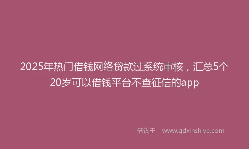 2025年热门借钱网络贷款过系统审核，汇总5个20岁可以借钱平台不查征信的app