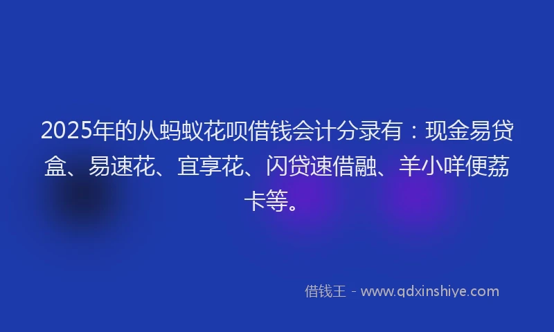 2025年的从蚂蚁花呗借钱会计分录有：现金易贷盒、易速花、宜享花、闪贷速借融、羊小咩便荔卡等。