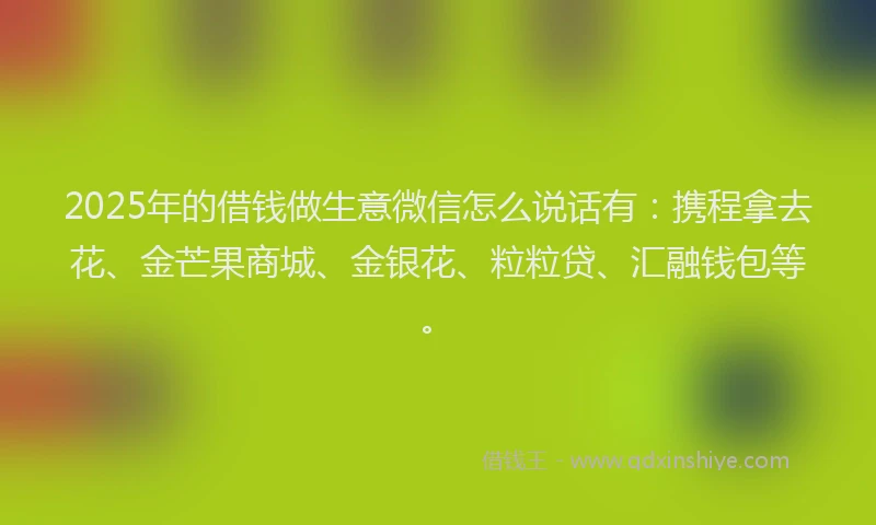 2025年的借钱做生意微信怎么说话有：携程拿去花、金芒果商城、金银花、粒粒贷、汇融钱包等。