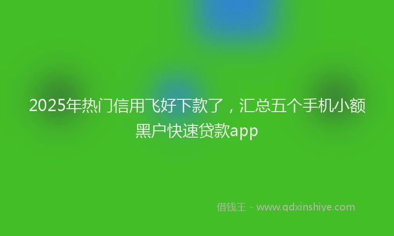 2025年热门信用飞好下款了，汇总五个手机小额黑户快速贷款app