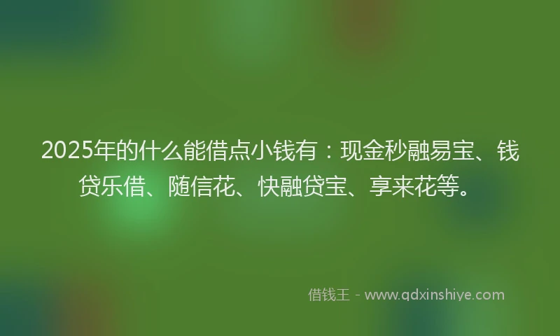 2025年的什么能借点小钱有：现金秒融易宝、钱贷乐借、随信花、快融贷宝、享来花等。