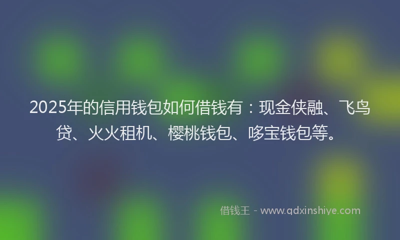 2025年的信用钱包如何借钱有：现金侠融、飞鸟贷、火火租机、樱桃钱包、哆宝钱包等。