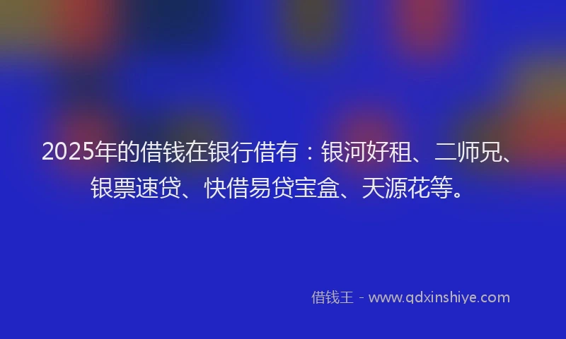 2025年的借钱在银行借有：银河好租、二师兄、银票速贷、快借易贷宝盒、天源花等。
