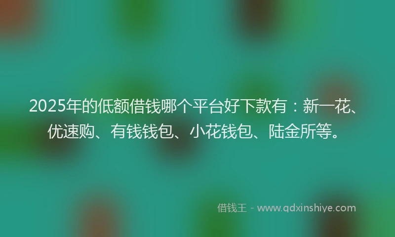 2025年的低额借钱哪个平台好下款有：新一花、优速购、有钱钱包、小花钱包、陆金所等。