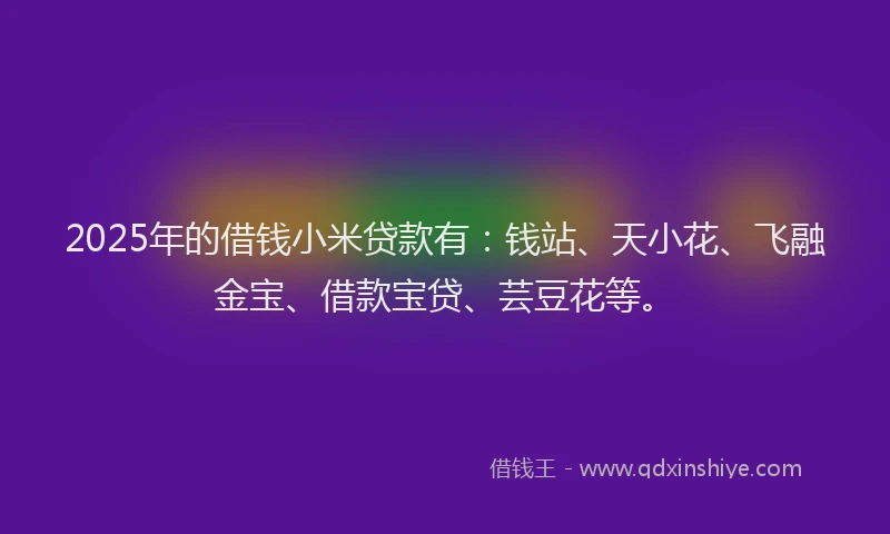 2025年的借钱小米贷款有：钱站、天小花、飞融金宝、借款宝贷、芸豆花等。