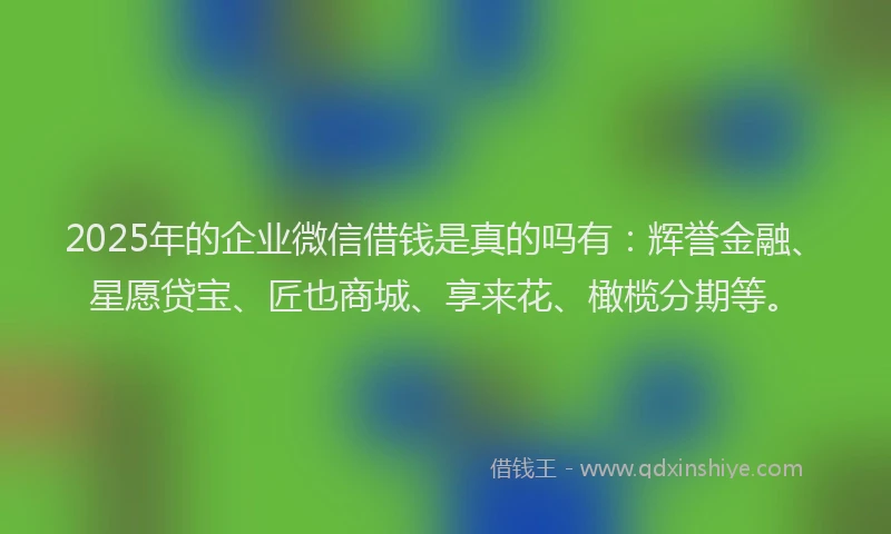 2025年的企业微信借钱是真的吗有：辉誉金融、星愿贷宝、匠也商城、享来花、橄榄分期等。