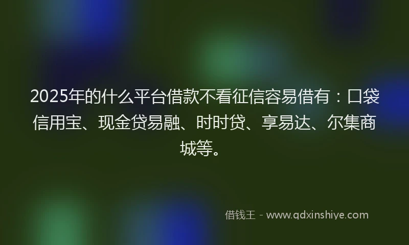 2025年的什么平台借款不看征信容易借有：口袋信用宝、现金贷易融、时时贷、享易达、尔集商城等。