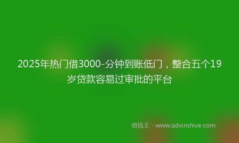 2025年热门借3000-分钟到账低门，整合五个19岁贷款容易过审批的平台