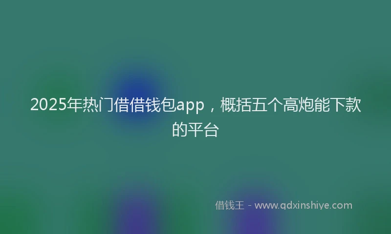 2025年热门借借钱包app，概括五个高炮能下款的平台